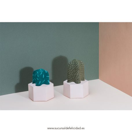 Calcetines cactus